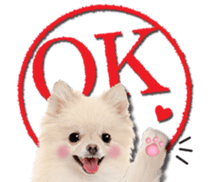 Cute dog 2 of a picture sticker #15134924