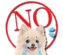 Cute dog 2 of a picture sticker #15134925