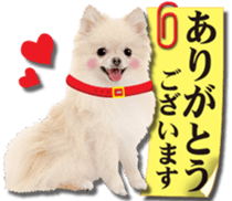 Cute dog 2 of a picture sticker #15134926