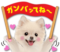 Cute dog 2 of a picture sticker #15134927