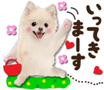 Cute dog 2 of a picture sticker #15134928