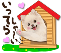 Cute dog 2 of a picture sticker #15134929