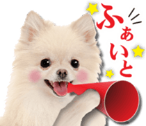 Cute dog 2 of a picture sticker #15134930