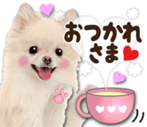 Cute dog 2 of a picture sticker #15134931