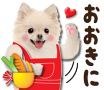 Cute dog 2 of a picture sticker #15134932