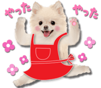 Cute dog 2 of a picture sticker #15134933