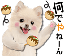 Cute dog 2 of a picture sticker #15134934