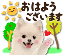 Cute dog 2 of a picture sticker #15134937