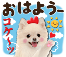 Cute dog 2 of a picture sticker #15134938