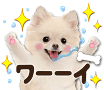 Cute dog 2 of a picture sticker #15134939