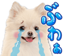 Cute dog 2 of a picture sticker #15134942