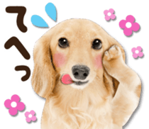 Cute dog 2 of a picture sticker #15134948
