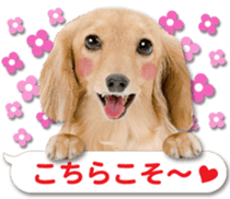 Cute dog 2 of a picture sticker #15134949