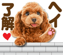 Cute dog 2 of a picture sticker #15134954