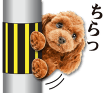Cute dog 2 of a picture sticker #15134956