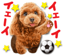 Cute dog 2 of a picture sticker #15134958