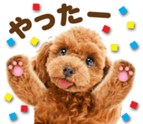Cute dog 2 of a picture sticker #15134959