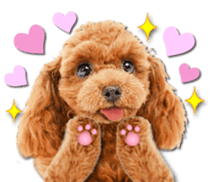 Cute dog 2 of a picture sticker #15134960
