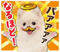 Cute dog 2 of a picture sticker #15134961