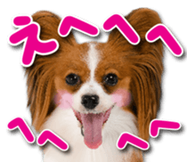 Cute dog 2 of a picture sticker #15134962