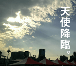 Feeling of the photograph 2 sticker #15135992