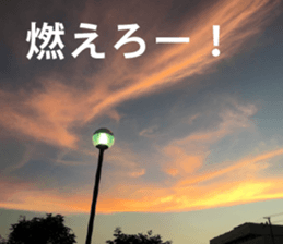 Feeling of the photograph 2 sticker #15135997