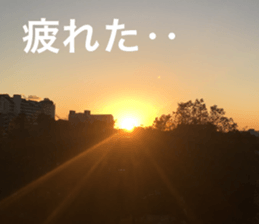 Feeling of the photograph 2 sticker #15135998