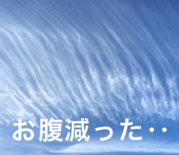 Feeling of the photograph 2 sticker #15136000