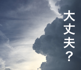 Feeling of the photograph 2 sticker #15136005