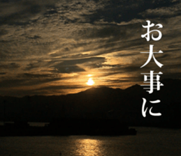 Feeling of the photograph 2 sticker #15136006