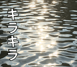 Feeling of the photograph 2 sticker #15136008