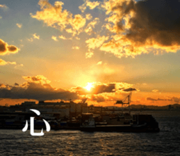 Feeling of the photograph 2 sticker #15136016