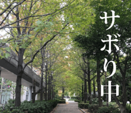 Feeling of the photograph 2 sticker #15136020