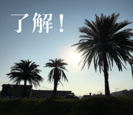 Feeling of the photograph 2 sticker #15136021