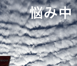 Feeling of the photograph 2 sticker #15136026