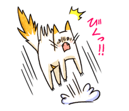 Cat of pocke2 sticker #15136819