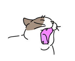 The cat do. sticker #15137964