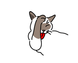 The cat do. sticker #15137965