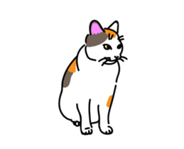The cat do. sticker #15137966