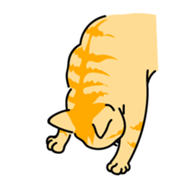 The cat do. sticker #15137967