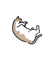 The cat do. sticker #15137968