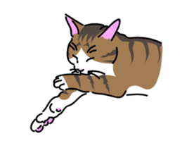 The cat do. sticker #15137984