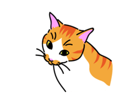 The cat do. sticker #15137985