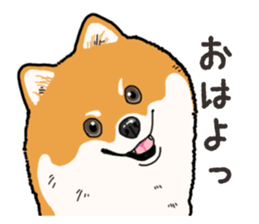 Wanko-Biyori Pomeranian sticker #15138284