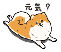 Wanko-Biyori Pomeranian sticker #15138285
