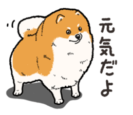 Wanko-Biyori Pomeranian sticker #15138286