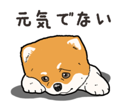 Wanko-Biyori Pomeranian sticker #15138287