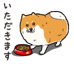 Wanko-Biyori Pomeranian sticker #15138289