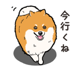 Wanko-Biyori Pomeranian sticker #15138294