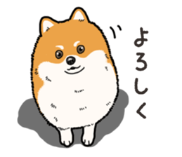 Wanko-Biyori Pomeranian sticker #15138301